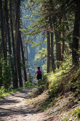 Fototapeta premium girl hiking alone in the forest
