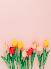 Creative arrangement of tulips on light pastel pink background. Trendy spring concept made with colorful tulip flowers on pastel pink background. Minimal nature flat lay. Flowers aesthetic.