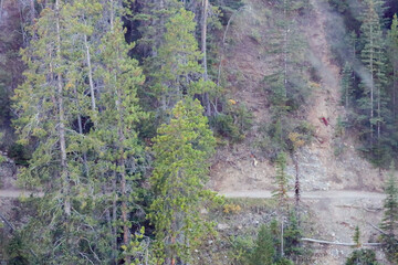 top view of trail in the mountain woods
