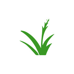 Grass icon and sign illustration