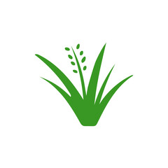 Grass icon and sign illustration