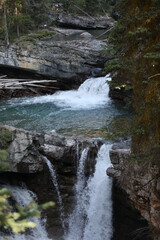 waterfall in the forest