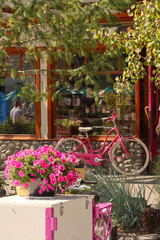 Fototapeta na wymiar flowers on a bike by a shop in mountains