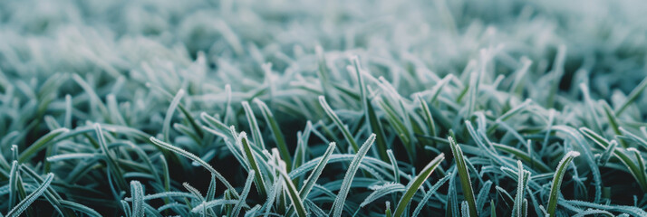 Naklejka na ściany i meble green grasses are covered in frost, generative AI