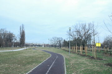 road in the park