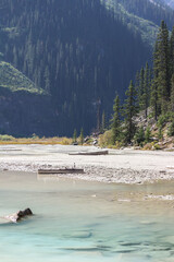 glacier national park state