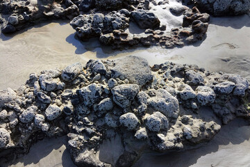 Close-up of the landscape of the wild surf beach Famara in the north west of Lanzarote