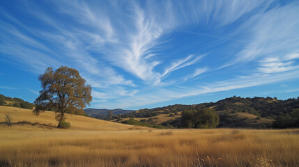 Obraz premium 丘陵地帯の風景イメージ