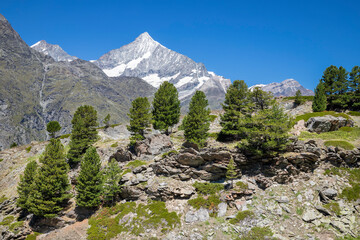 The Walliser Alps Peaks 