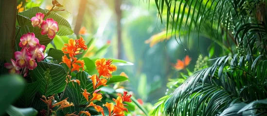 Foto op Plexiglas A diverse collection of jungle flowers and plants. © AkuAku