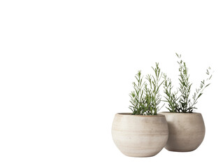 Minimalist Plant Pots