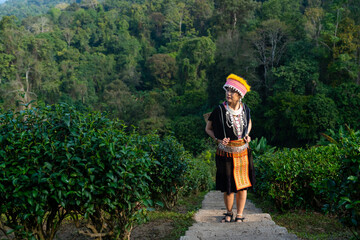 Fototapeta na wymiar Portrait of Asian woman farmer working in tea plantation in Chiang Mai, Thailand. Hill tribes woman farm worker in traditional dress growing and harvesting organic tea leaf on the mountain.