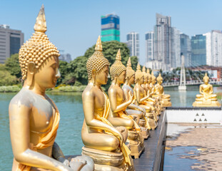 A row of golden Buddha statues in Colombo, Sri Lanka