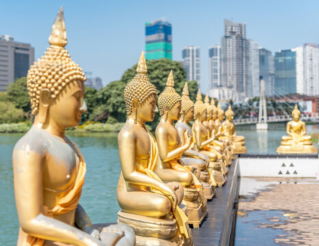 A row of golden Buddha statues in Colombo, Sri Lanka