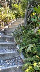 Some of the 3300 steps on the Sealy Tarns Track walk in Mt Cook National Park