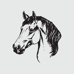 Horse head silhouette, Vector illustration of a horse head.