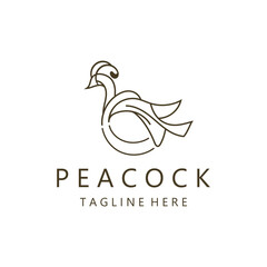 Peacock logo line art elegant concept icon design template flat vector
