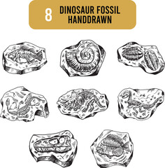 Dinosaur Fossil Handdrawn isolated on white background. Design element for logo, label, sign, emblem, poster. Vector illustration