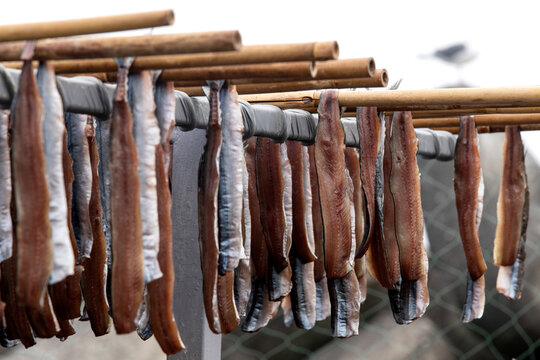 View of drying saury and herring with the wind at the seaside
