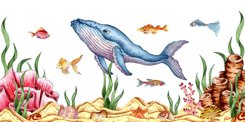 Watercolor illustrations of sandy seabed, shells, algae, corals, starfish, fish and whale. Isolated on a white background. Compositions for posters, cards, banners, flyers, covers, playbills 