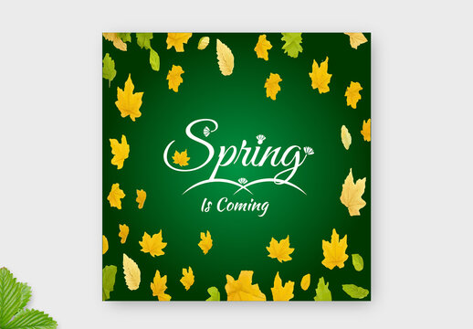 Spring Is Coming text with Floral Illustrations