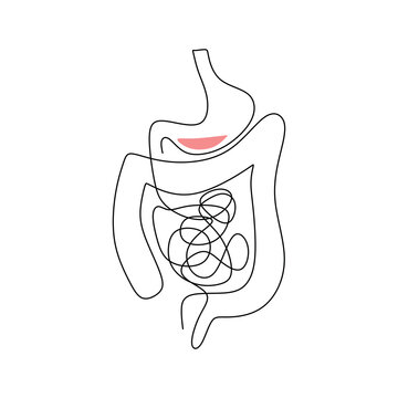 recommend clip art: Human intestines one line drawing. Stomach digestion process. Healthcare vector illustration concept.