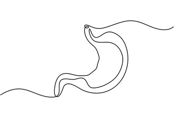 Human stomach one continuous line art drawing.