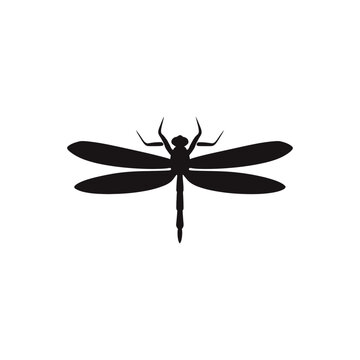 dragon-fly vector silhouette