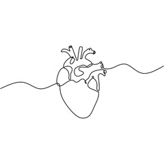 Heart continuous one line drawing. Human organ hand drawn outline vector illustration. Simplicity design minimalist.