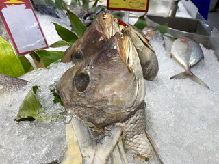 Snapper head sea fish on a layer of ice for sale at the market. fresh fish head
