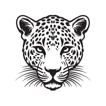 Cheetah head vector illustration isolated on transparent background Stock Vector 