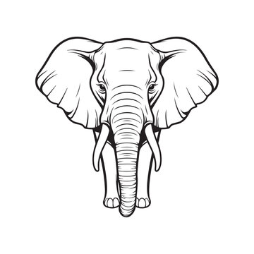 Elephant Vector Images, Elephant isolated on white