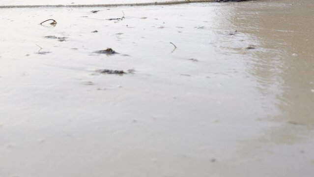 Calm Sea Water waves Splashing Sandy Beach. sea water waves splashing sandy beach morning. Ocean waves water at seashell coast in slow motion.