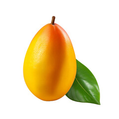 Mango isolated on transparent background