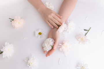 Closeup beautiful sophisticated female hands with pink flowers on white background. Concept hand care, antiwrinkles, antiaging cream, spa