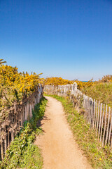 Fototapeta na wymiar Path through sand dunes near Port Bara, Quiberon Peninsula, Brittany, France.