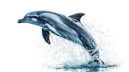 Foto op Plexiglas Playful dolphin on a white background © MONWARA