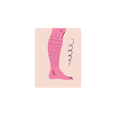 Feminism vector stock illustration. Foot in a sock on the grass with flowers illustration. Hairy female foot in a sock in nature. Stylish and vector illustration for International Women's Day. 