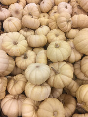 Baby Boo, ghostly white pumpkins.