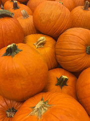 Orange pumpkins on display at a farmers market 