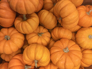 Jack be little Pumpkins.