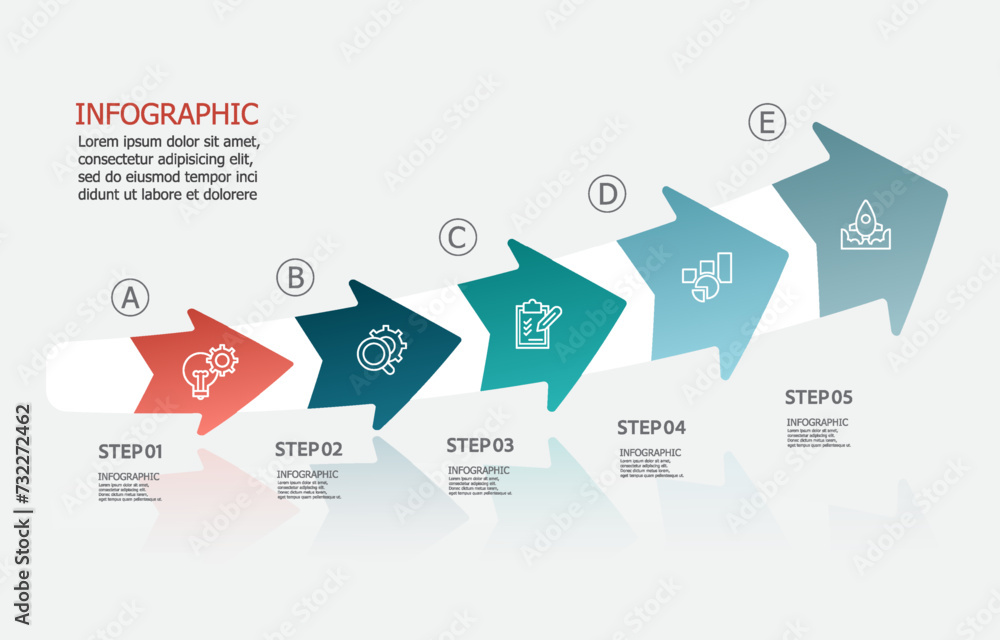 Wall mural infographics timeline element business data steps report layout template background with business li