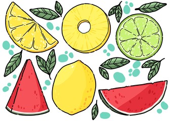 fruit set. Fruit Collection with watermelon, pineapple, lime, lemon in Illustration. hand draw Illustration. Fruit icon.