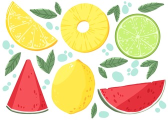 fruit set. Fruit Collection with watermelon, pineapple, lime, lemon in Illustration. hand draw Illustration. Fruit icon.