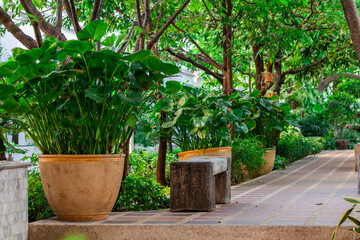 flower bed in a garden