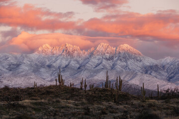 Four Peaks in Arizona covered in snow with saguaro cacti at sunset with a pink and gold sunset