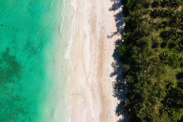 Fototapeta na wymiar Turquoise waters, fine white sand, and pine trees lined up.