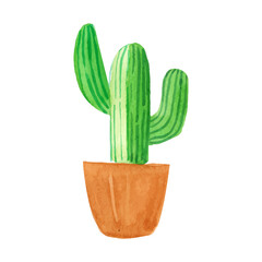  single element watercolor green cactus pot