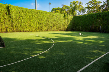A small grass football field with a tall green hedge