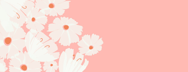 Delicate pink background with white flowers. Spring blooming banner with empty space for text